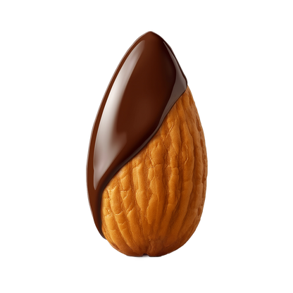Dark Chocolate Almonds